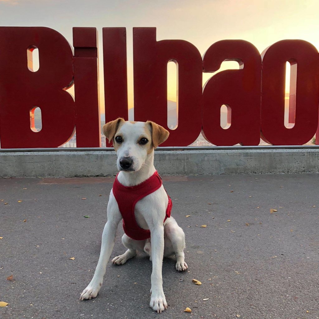 Pipper no País Basco