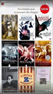 Instagram Estante Pata Santa